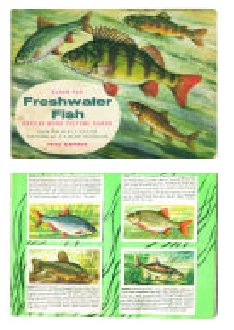 FRESHWATER FISH BROOKE BOND CARDS / BROOKE BOND CARDS